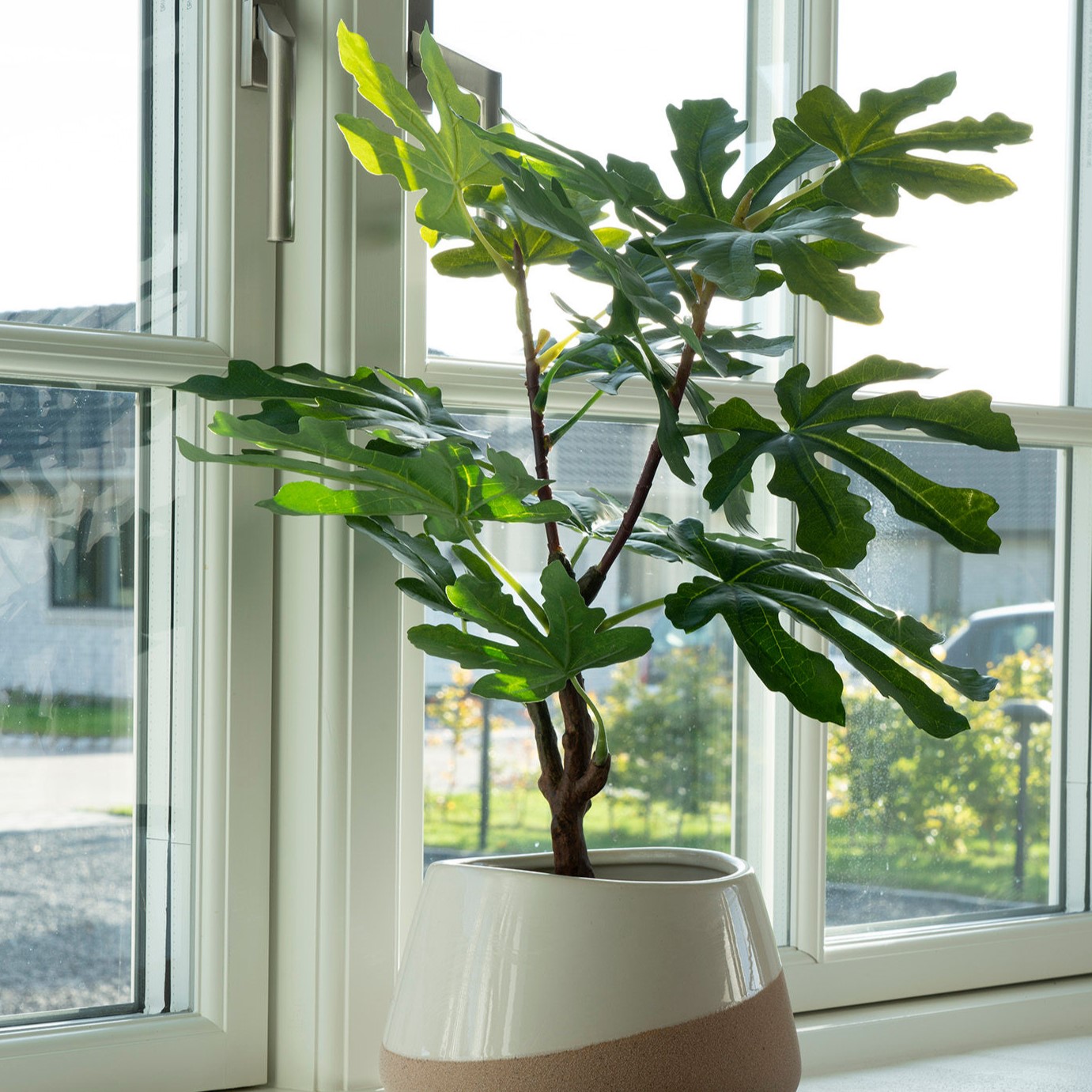 Figentræ - Kunstig plante, højde 50 cm.