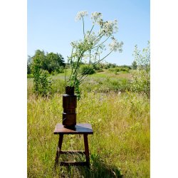 Cerron - Skammel i genbrugstr