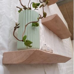 Logg - Plankehylde i egetr