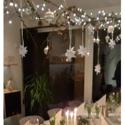 Lyskde i slv, 10 meter lang