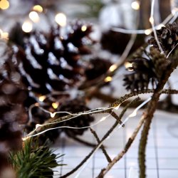 Lyskde i slv, 10 meter lang