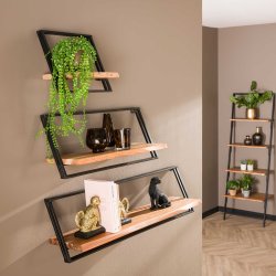 Angle - Hyldest i akacietr