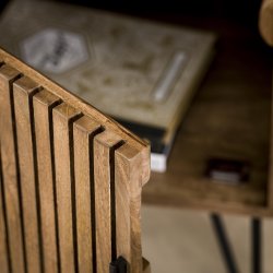 Zanzibar - Vinreol i massiv mangotr