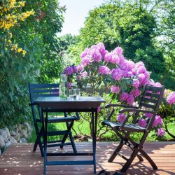 Dales - Spisebord i sort mahogni, foldbar