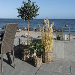 Bromo - Kurvest i rattan, tre kurve