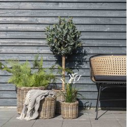 Bromo - Kurvest med fire kurve i natur rattan