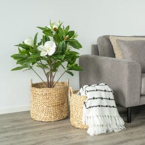 Posso - Korgset i vattenhyacint,