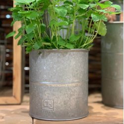 Maceta - Urtepotte i galvaniseret metal, seks potter