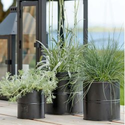 Maceta - Urtepotte i sort metal, seks potter