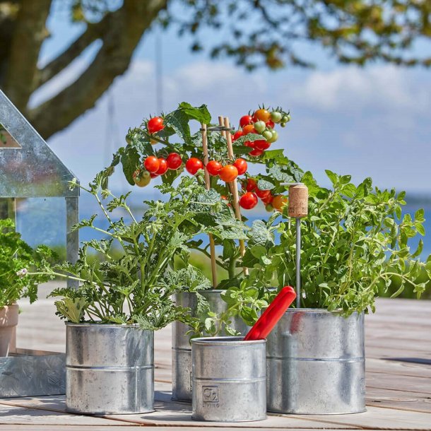 Maceta - Urtepotte i galvaniseret metal, seks potter