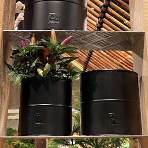 Maceta - Blomkruka i svart metall, 6 krukor