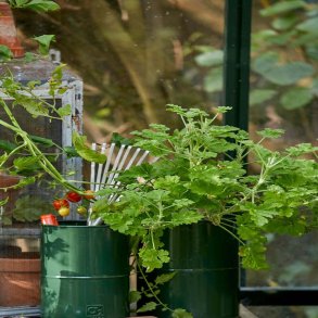  Maceta - Vxtkruka i olivgrn metall, 6 krukor