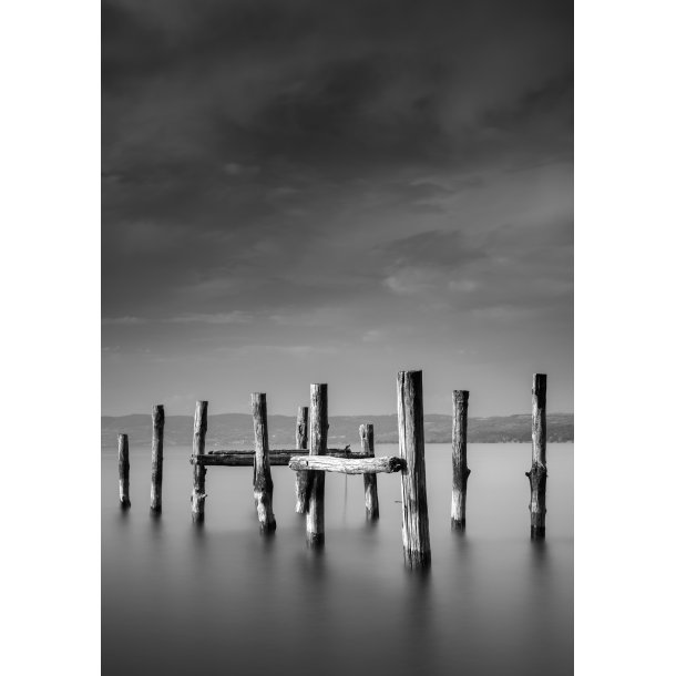 Ocean - Vlg mellem fire plakat strrelser