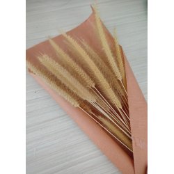 Dry Flowers -  Vlg mellem fire plakat strrelser