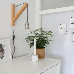 Droopy - vglampe i tr