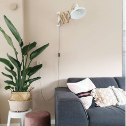 Edward - vglampe i tr og hvidt metal