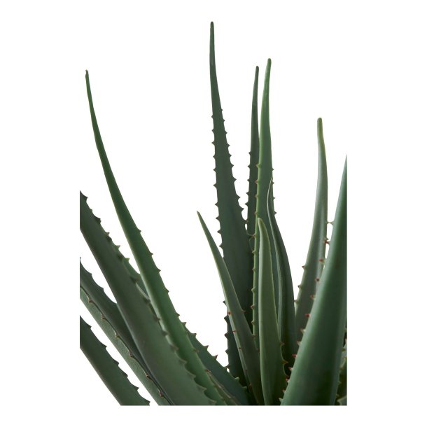Aloe Vera - kunstig grn plante, hjde 51 cm.