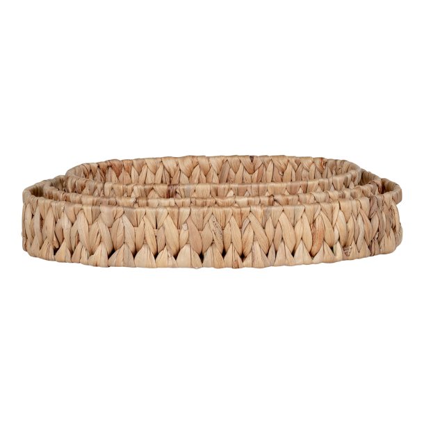 Winston - Bakkest i vandhyacinth