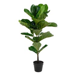 Violinfigen tr - Kunstig plante, hjde 100 cm.