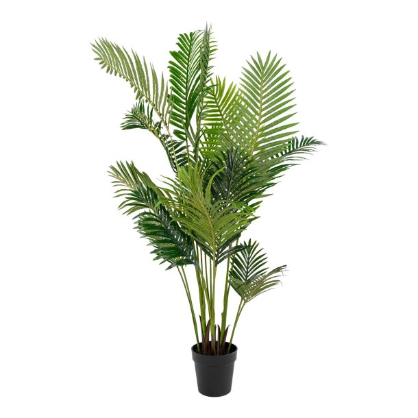 Areca palme - Kunstig plante, hjde 175 cm.