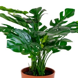 Monstera - Kunstig plante, hjde 45 cm.