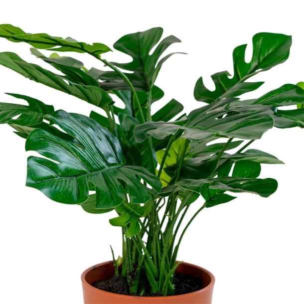 Monstera - Kunstig plante, hjde 45 cm.