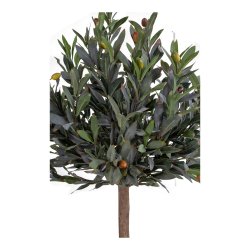 Oliventr - Kunstig plante, hjde 120 cm.