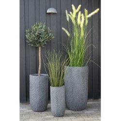 Oliventr - Kunstig plante, hjde 120 cm.
