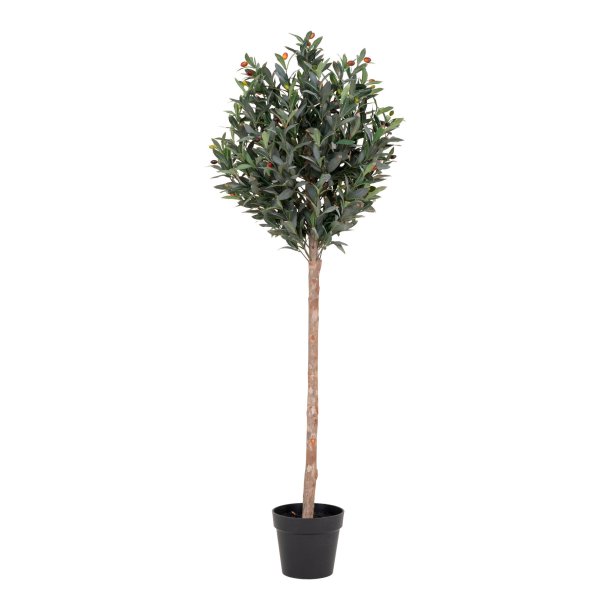 Oliventr - Kunstig plante, hjde 150 cm.