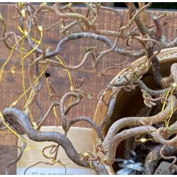 Lyskde i messing, 10 meter lang