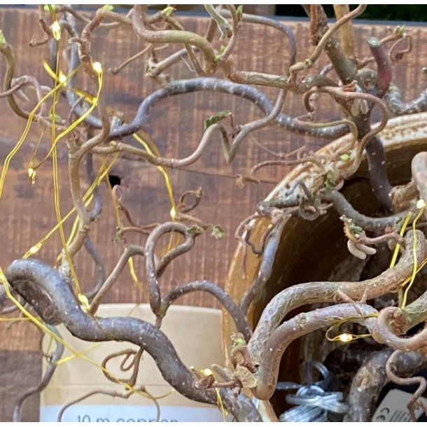 Lyskde i messing, 10 meter lang