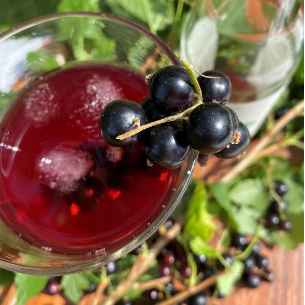 Drikkeklar saft - Solbr