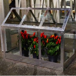 Calinornia - Bund til stor vksthus