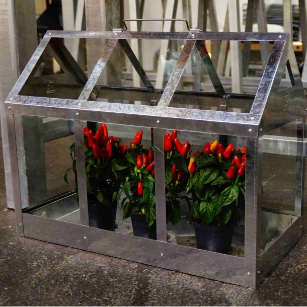 Calinornia - Bund til stor vksthus