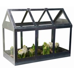 Calinornia - Bund til stor vksthus