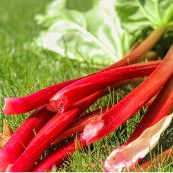 Drikkeklar saft - Rabarber