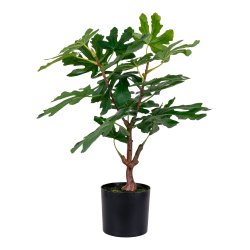 Figentr - Kunstig plante, hjde 50 cm.