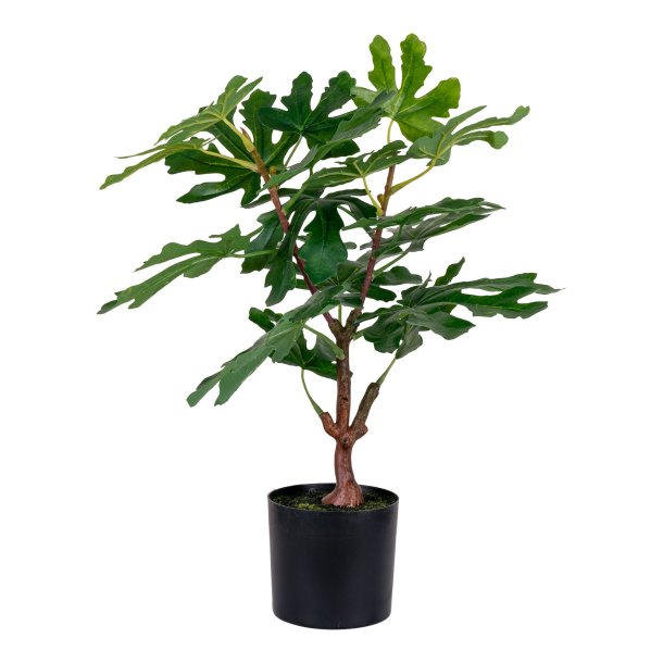 Figentr - Kunstig plante, hjde 50 cm.