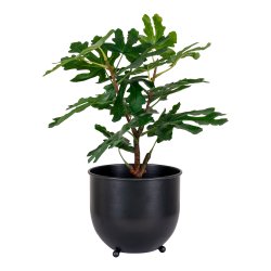 Figentr - Kunstig plante, hjde 50 cm.