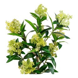 Skimmia Tr - Kunstig plante, hjde 75 cm.