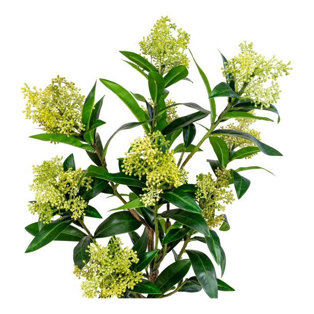 Skimmia Tr - Kunstig plante, hjde 75 cm.
