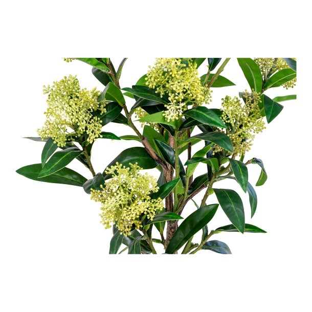 Skimmia Tr - Kunstig plante, hjde 75 cm.