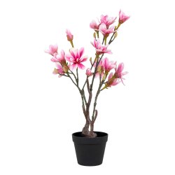 Magnoliatr - Kunstig plante, hjde 75 cm.
