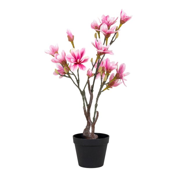 Magnoliatr - Kunstig plante, hjde 75 cm.