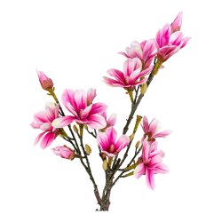 Magnoliatr - Kunstig plante, hjde 75 cm.
