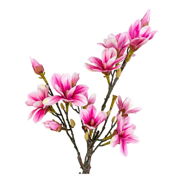 Magnoliatr - Kunstig plante, hjde 75 cm.
