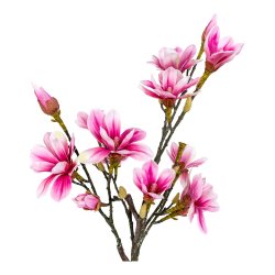 Magnoliatr - Kunstig plante, hjde 75 cm.