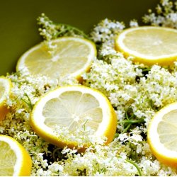 Drikkeklar saft - Hyldeblomst med citron