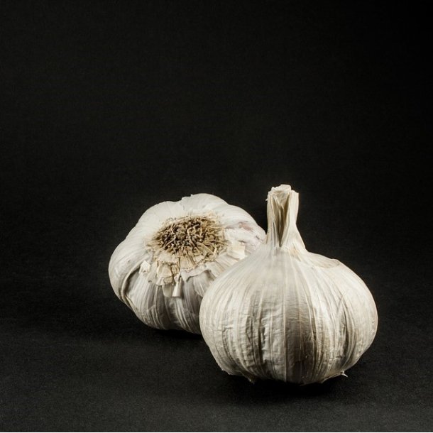 gte koldpresset rapsolie med hvidlg - 0,25 l