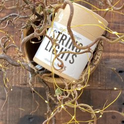 Lyskde i messing, 10 meter lang